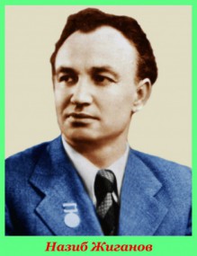 Назиб Жиганов За кулисами триумфа