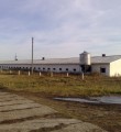 Капитализм в действии Капитализм в действии