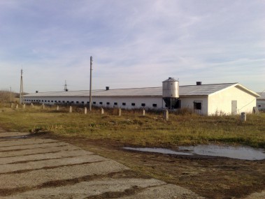 Капитализм в действии Капитализм в действии