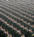 Народно-освободительная армия Китая Россия: кто мы? (ч.4)