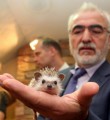 Трогательный зоопарк Трогательные питомцы