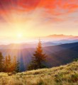 Как я умру Как я умру