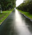 Стихи Ивана Данилова Стихи Ивана Данилова